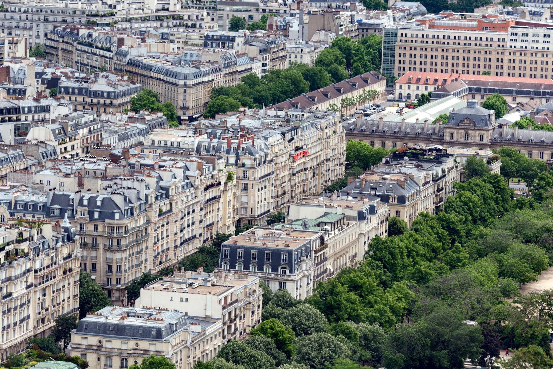 Immeubles et alignements d'arbres vus du ciel
