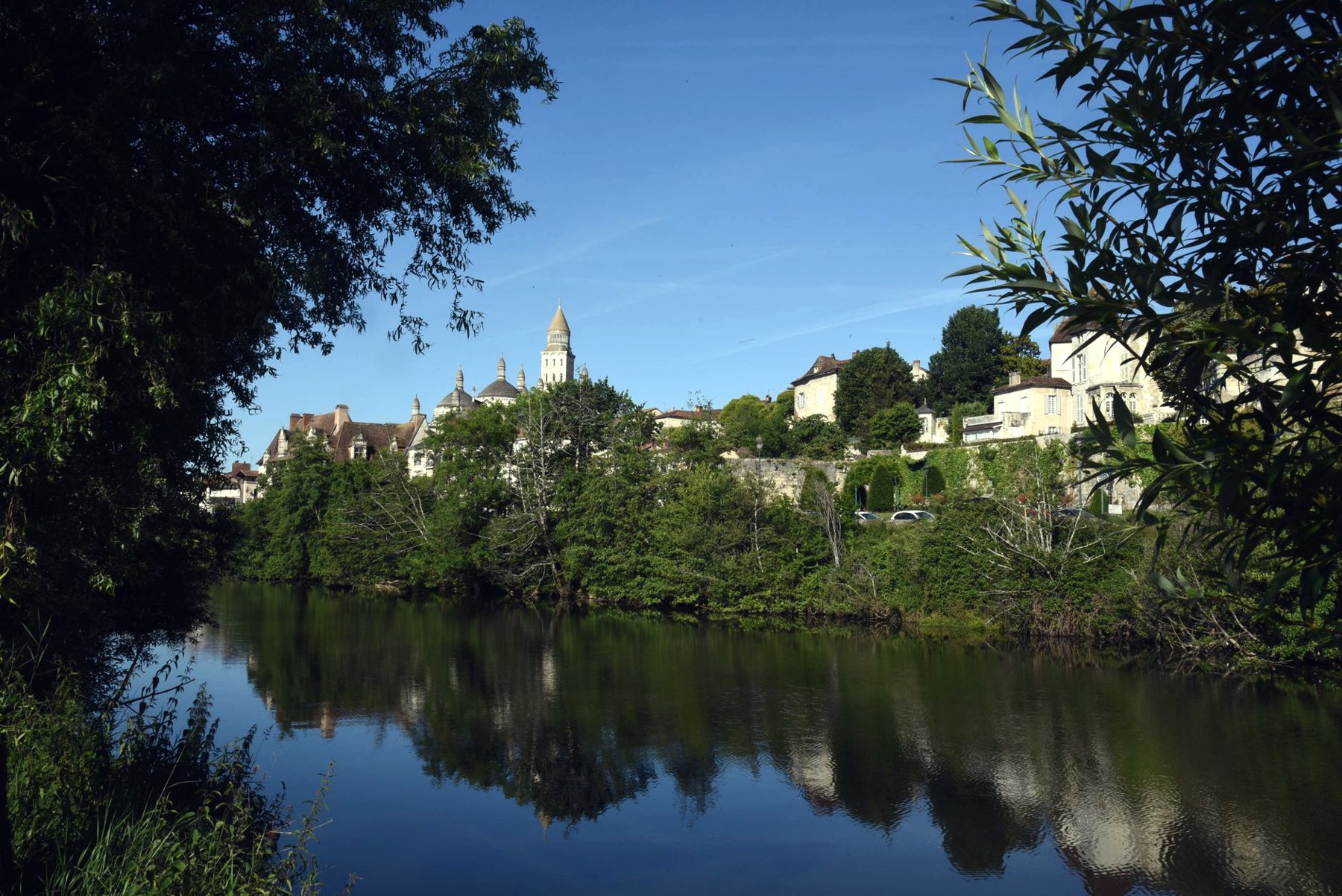 Rivière calme bordée d'arbres